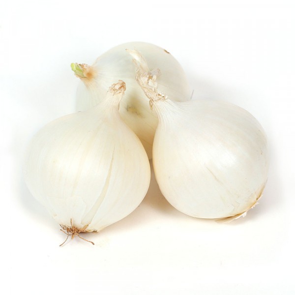 Omaxe Onion White Globe Seeds